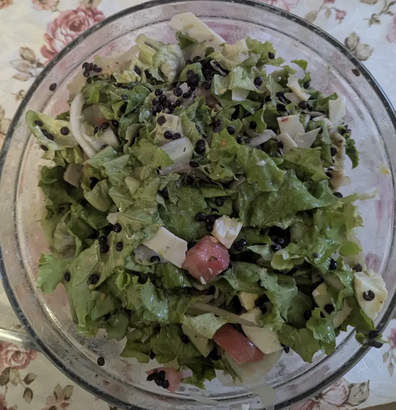 Protein lettuce salad with eggs, black lentils (Beluga) and tomato 